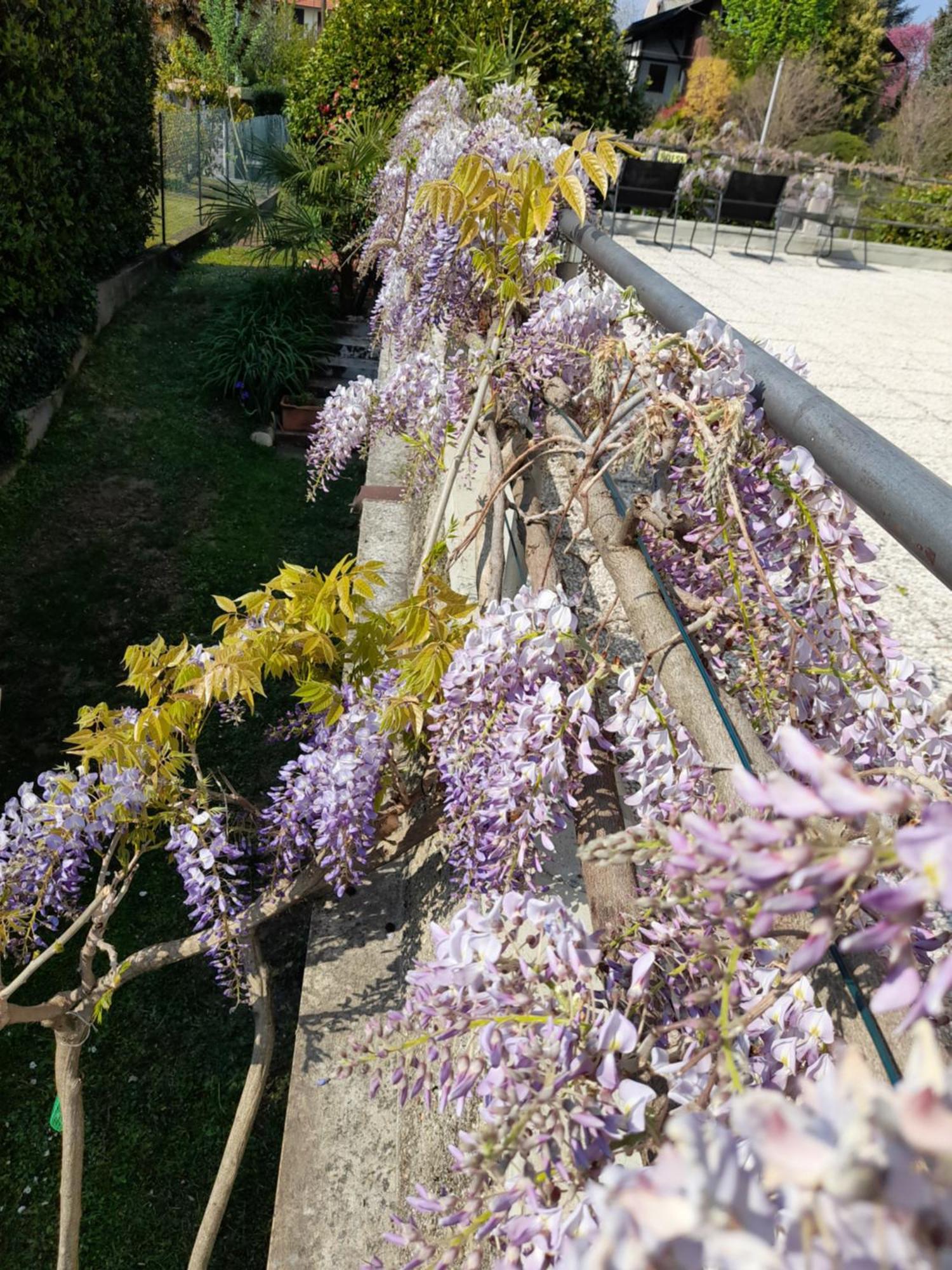 Apartamento Casa Germana Invorio Inferiore Exterior foto